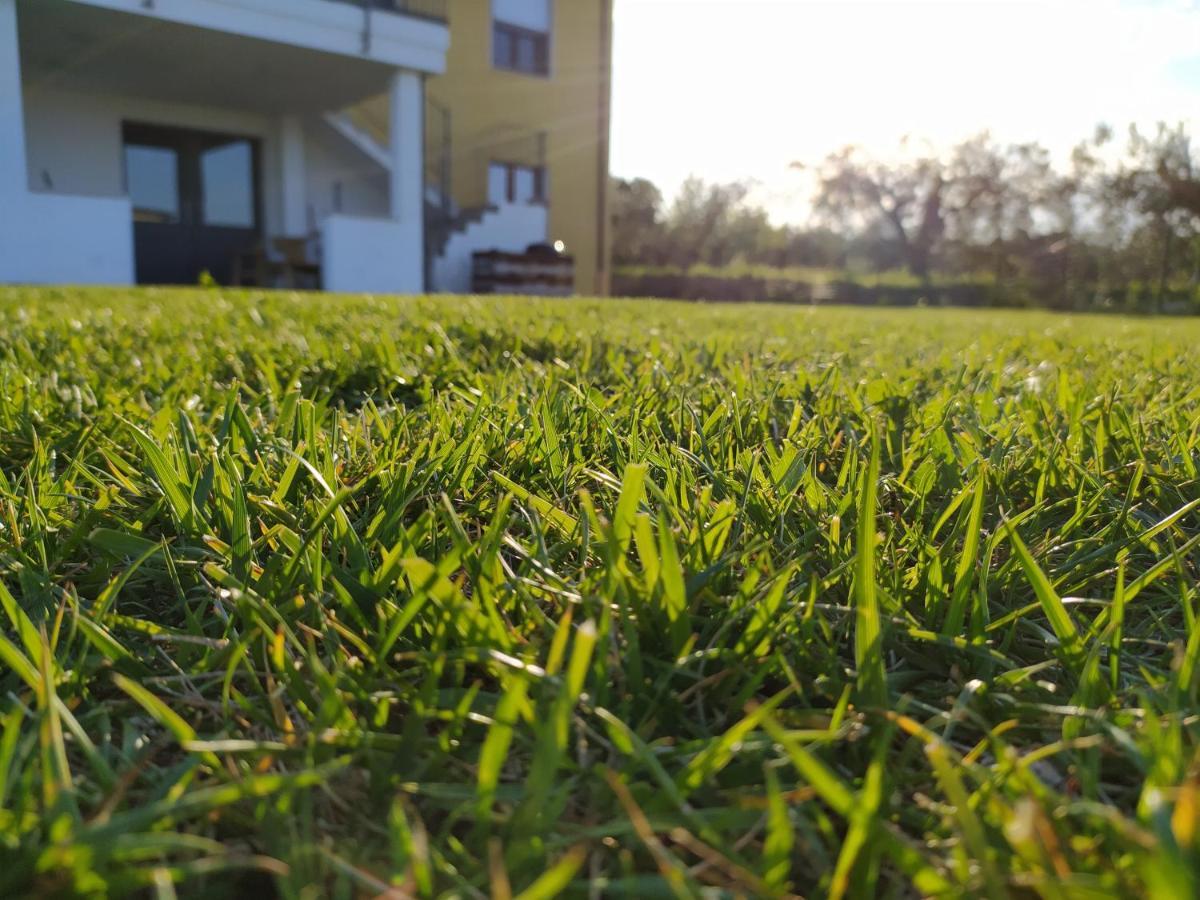 Natura E Mente Camere E Relax Васто Экстерьер фото